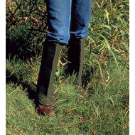 Chain Saw and Protective Chaps