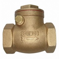 Check Valves