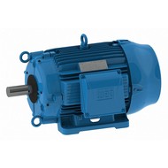 Cooling Tower Motors