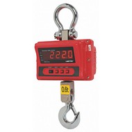 Crane Scales and Dynamometers