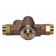Eye Wash and Shower Thermal Protection Valves