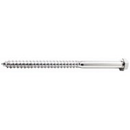 Hex Head Lag Screws