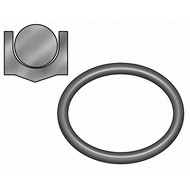Rod and Piston Seals