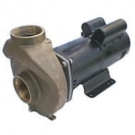 1//2HP 115V Dayton Pool Pump 5PXG4 3450