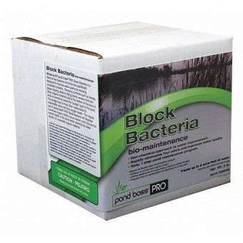 product_img_big