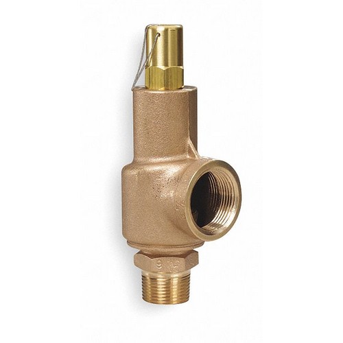 D4517 Safety Relief Valve 1/2 x 3/4 In 250 psi QTEC